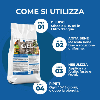 Gel di Silice per agricoltura x 1 KG - Polvere di roccia, Potenziatore delle difese naturali Effetto Insetticida e Fungicida - Per Orto e Piante - BIO - fba