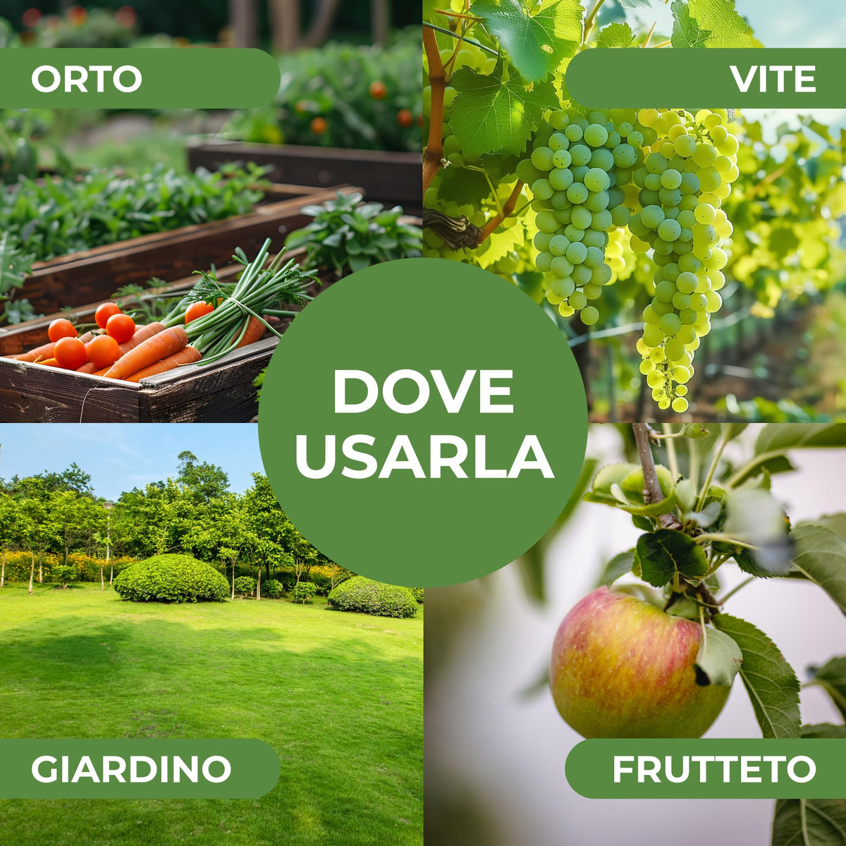 Miscela Neem-Po per Piante Biologico | Olio di Neem + Sapone molle di potassio Solubile Ottimo Contro le Avversità Esterne di Orto, Prato e Giardino 1 lt