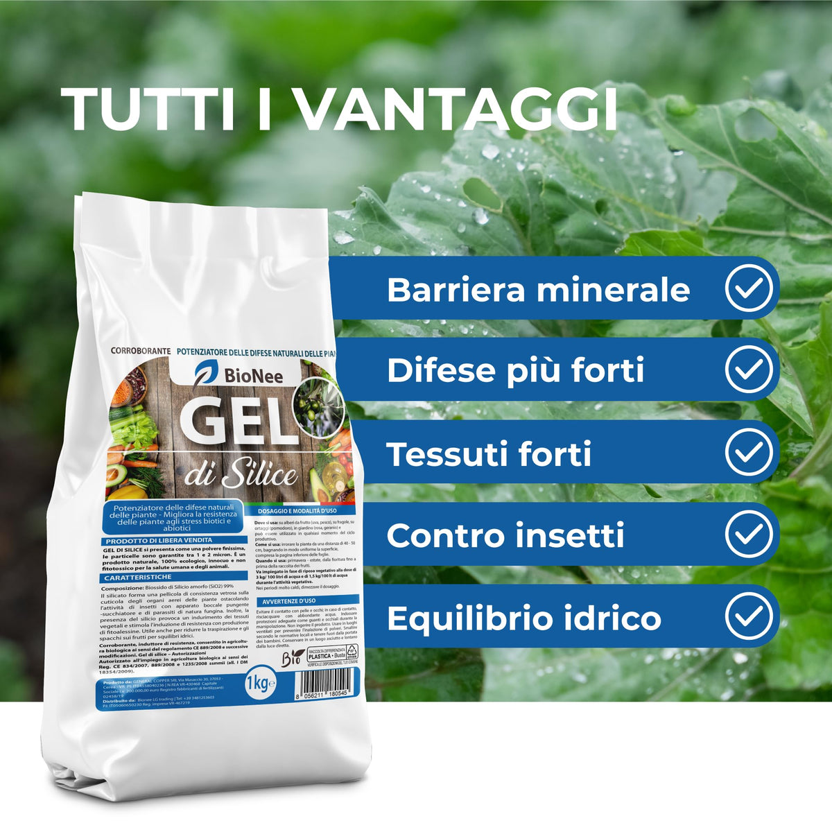 Gel di Silice per agricoltura x 1 KG - Polvere di roccia, Potenziatore delle difese naturali Effetto Insetticida e Fungicida - Per Orto e Piante - BIO - fba