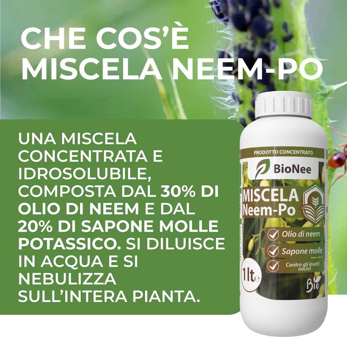 Miscela Neem-Po per Piante Biologico | Olio di Neem + Sapone molle di potassio Solubile Ottimo Contro le Avversità Esterne di Orto, Prato e Giardino 1 lt