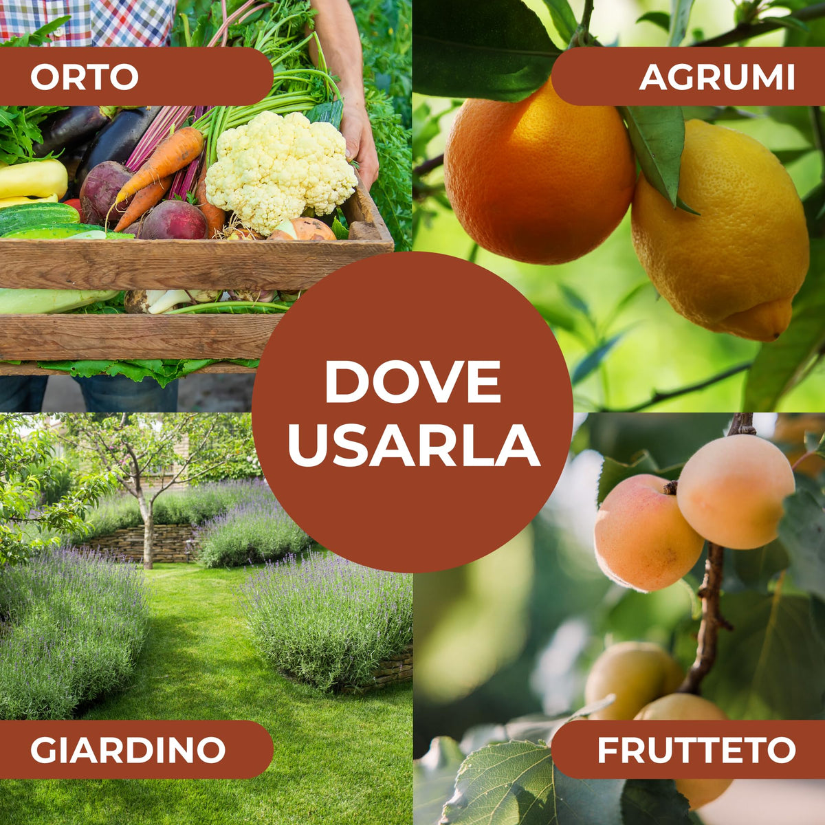 Amino BOOST, Concime Organico NPK per Colture Biologiche, Concime Biologico per uso fogliare e radicale 100ml