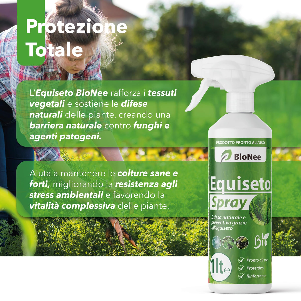 Equiseto Spray 1 l | Pronto all’Uso | Protettivo Naturale Preventivo | Difesa contro Oidio e Peronospora | Per Orti, Frutteti e Colture Biologiche