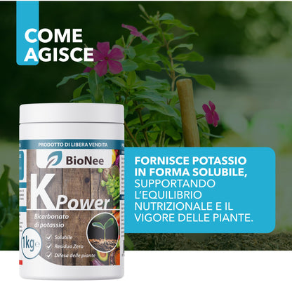 Bicarbonate de Potassium Pur - Engrais Antifongique pour Plantes, Potager et Arbres Fruitiers, Favorise la Croissance et la Santé Végétale - 1 kg - FBA
