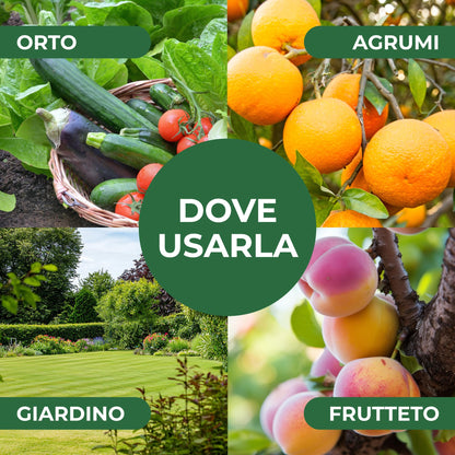 Lecitina di Soia 1L – Sostanza di Base Naturale | Concentrato Idrosolubile per Uso Agricolo | Barriera Protettiva contro Funghi | Per Piante da Frutto, Ortive e Ornamentali
