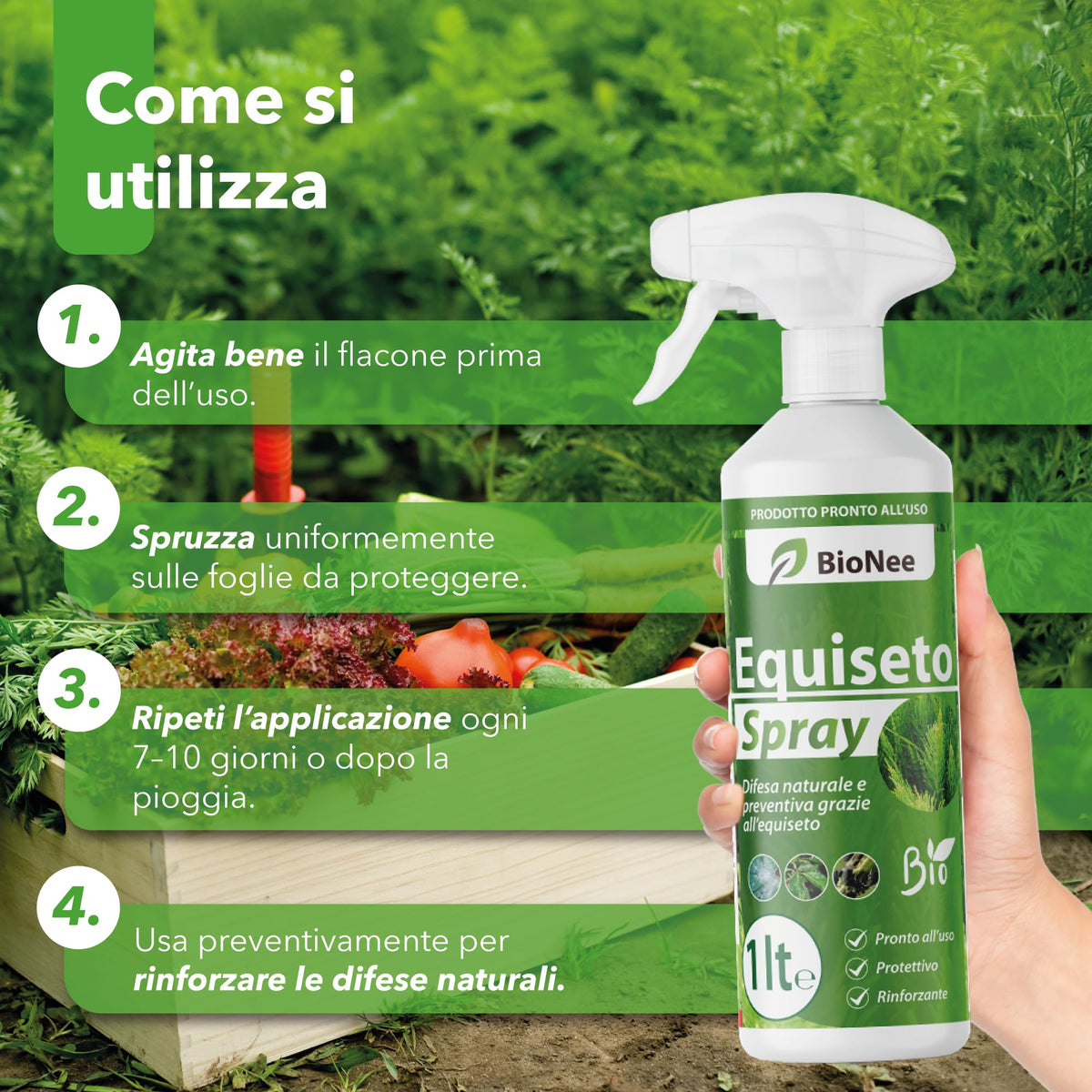 Equiseto Spray 1 l | Pronto all’Uso | Protettivo Naturale Preventivo | Difesa contro Oidio e Peronospora | Per Orti, Frutteti e Colture Biologiche
