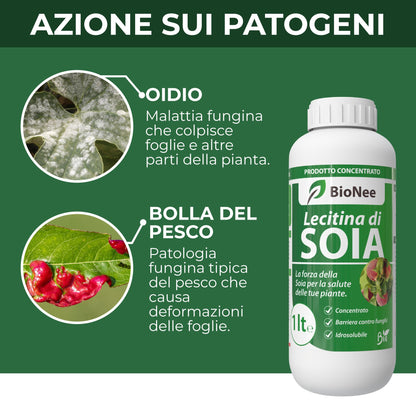 Lecitina di Soia 1L – Sostanza di Base Naturale | Concentrato Idrosolubile per Uso Agricolo | Barriera Protettiva contro Funghi | Per Piante da Frutto, Ortive e Ornamentali