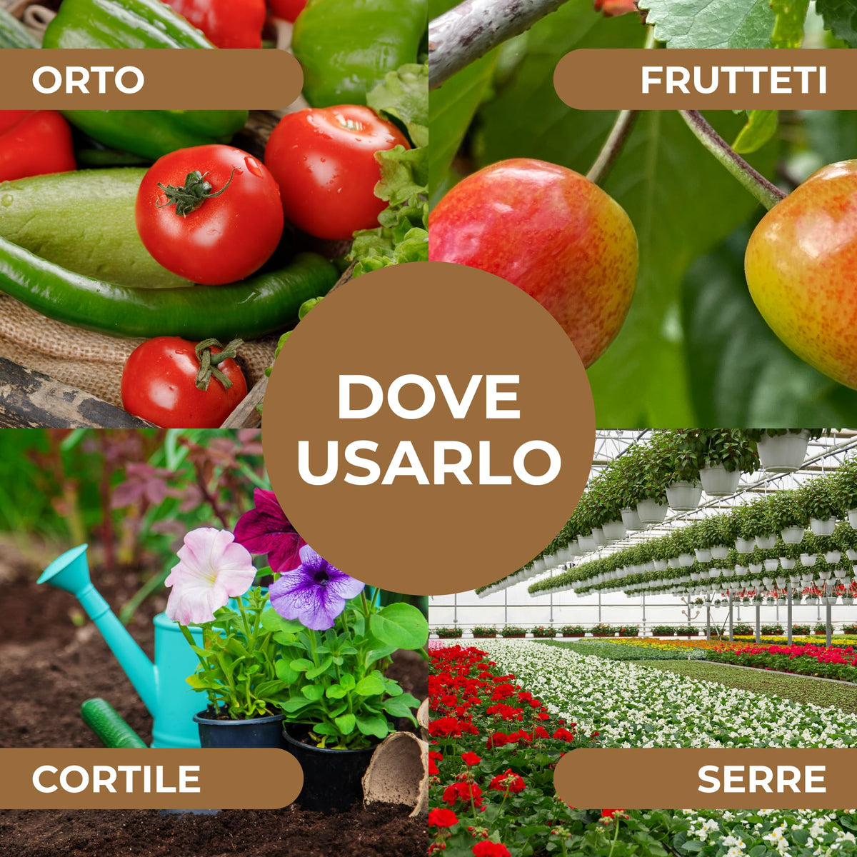 Bionee_ZEOLITE Potenzia le Difese naturali IN POLVERE PURA ULTRA MICRONIZZATA 20MY 1 kg