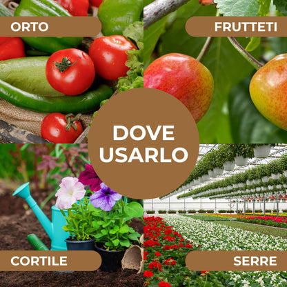 Bionee_ZEOLITE Potenzia le Difese naturali IN POLVERE PURA ULTRA MICRONIZZATA 20MY 1 kg