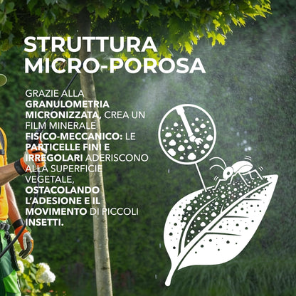 Bionee_ZEOLITE Potenzia le Difese naturali IN POLVERE PURA ULTRA MICRONIZZATA 20MY 1 kg