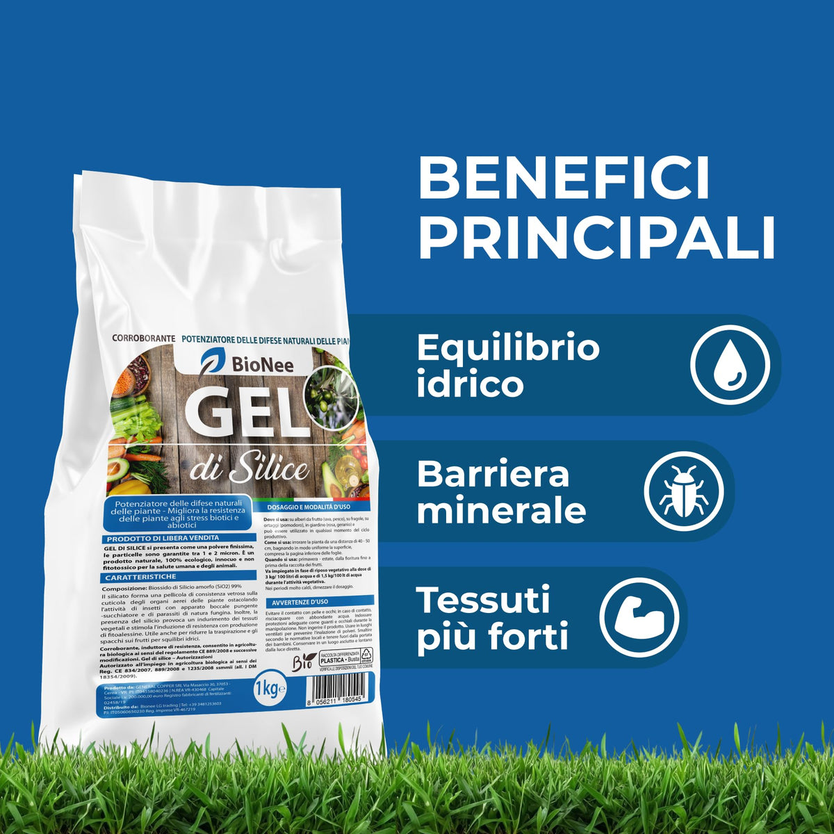 Gel di Silice per agricoltura x 1 KG - Polvere di roccia, Potenziatore delle difese naturali Effetto Insetticida e Fungicida - Per Orto e Piante - BIO - fba