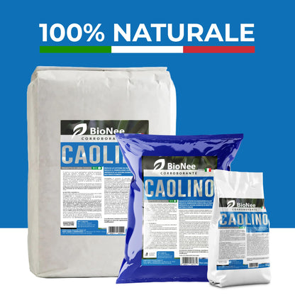 Caolino corroborante potenziatore difese naturali MOSCA DELL'OLIVO 25 kg
