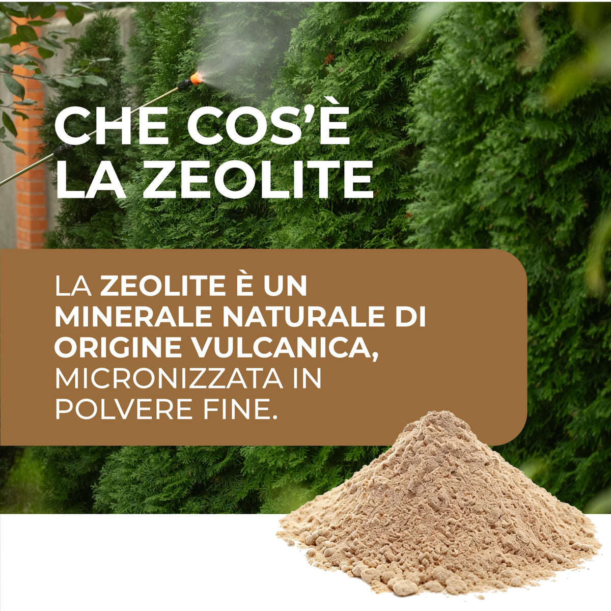 Bionee_ZEOLITE Potenzia le Difese naturali IN POLVERE PURA ULTRA MICRONIZZATA 20MY 1 kg