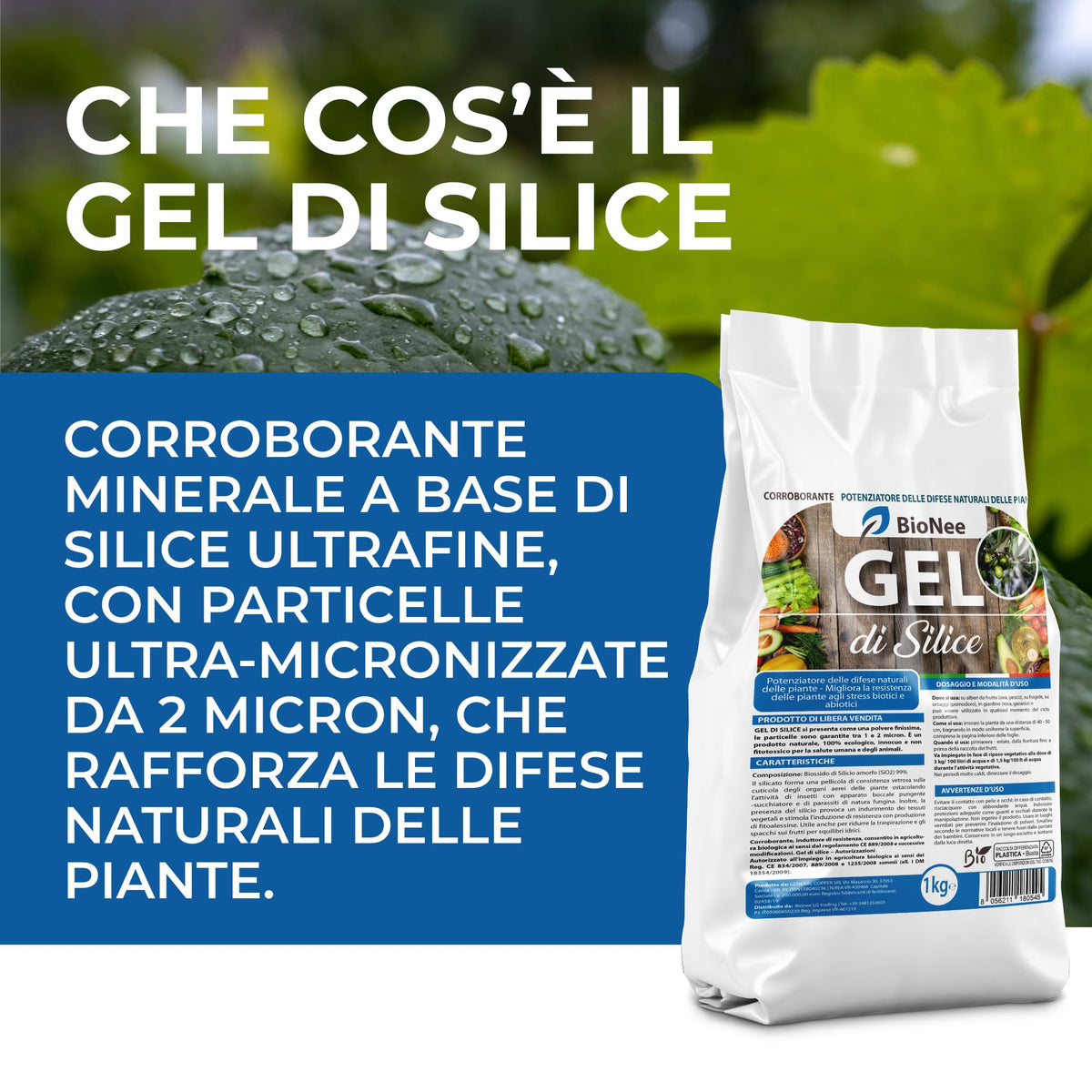 Gel di Silice per agricoltura x 1 KG - Polvere di roccia, Potenziatore delle difese naturali Effetto Insetticida e Fungicida - Per Orto e Piante - BIO - fba