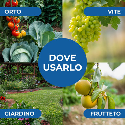Gel di Silice per agricoltura x 1 KG - Polvere di roccia, Potenziatore delle difese naturali Effetto Insetticida e Fungicida - Per Orto e Piante - BIO - fba