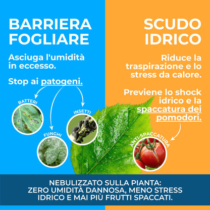 Gel di Silice per agricoltura x 1 KG - Polvere di roccia, Potenziatore delle difese naturali Effetto Insetticida e Fungicida - Per Orto e Piante - BIO - fba