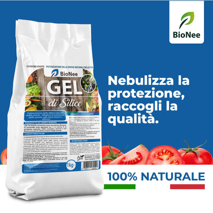 Gel di Silice per agricoltura x 1 KG - Polvere di roccia, Potenziatore delle difese naturali Effetto Insetticida e Fungicida - Per Orto e Piante - BIO - fba