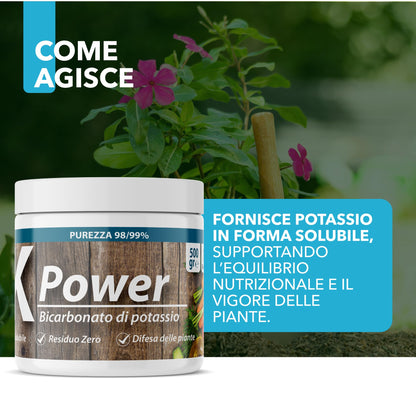 Bicarbonato di Potassio Bio per Agricoltura Naturale e Piante – KPower 500 gr | Contro Oidio, Muffa Grigia, Peronospora, Monilia, Ticchiolatura, Bolla del Pesco, Marciume