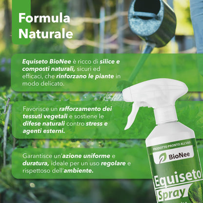 Equiseto Spray 1 l | Pronto all’Uso | Protettivo Naturale Preventivo | Difesa contro Oidio e Peronospora | Per Orti, Frutteti e Colture Biologiche