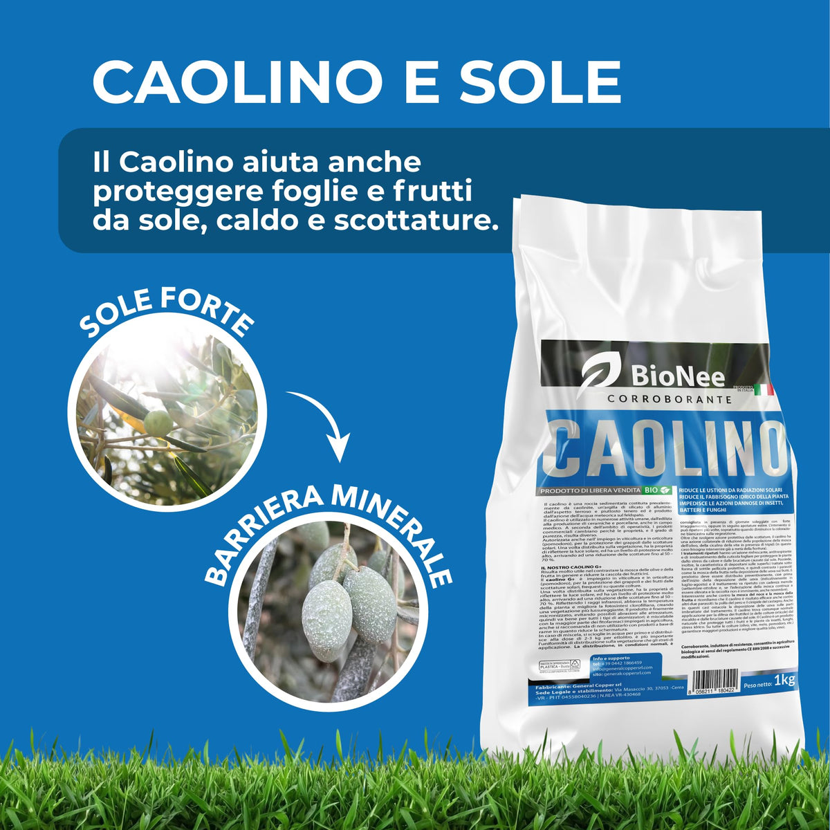 Caolino corroborante potenziatore difese naturali MOSCA DELL'OLIVO 25 kg