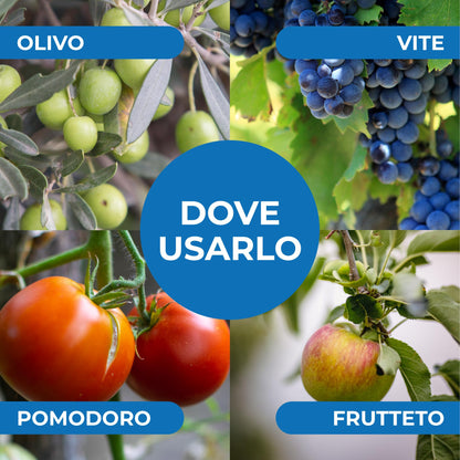 Bionee - Caolino corroborante potenziatore difese naturali MOSCA DELL'OLIVO 25 kg