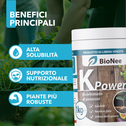 Bicarbonate de Potassium Pur - Engrais Antifongique pour Plantes, Potager et Arbres Fruitiers, Favorise la Croissance et la Santé Végétale - 1 kg - FBA