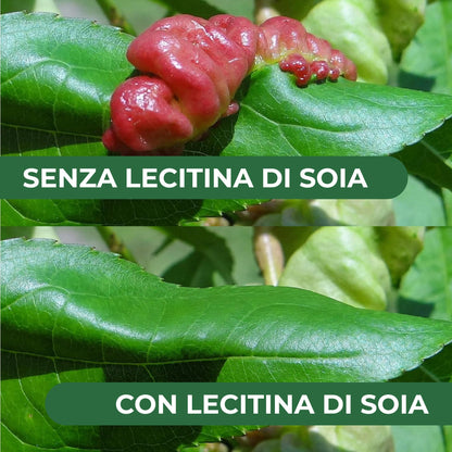 Lecitina di Soia 1L – Sostanza di Base Naturale | Concentrato Idrosolubile per Uso Agricolo | Barriera Protettiva contro Funghi | Per Piante da Frutto, Ortive e Ornamentali