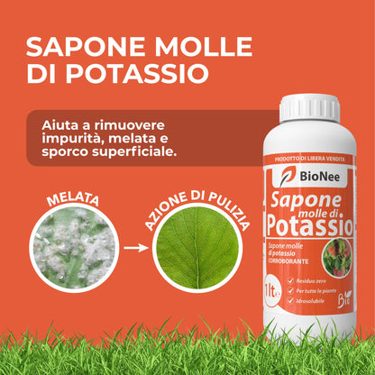Sapone Molle Potassico 10L – Insetticida Naturale per Piante, Afidi, Cocciniglia, Effetto Corroborante e Lava Melata