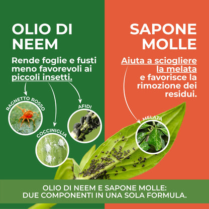 Miscela Neem-Po per Piante Biologico (100 ml) Olio di Neem + Sapone molle di potassio Solubile Ottimo Contro le Avversità Esterne di Orto, Prato e Giardino