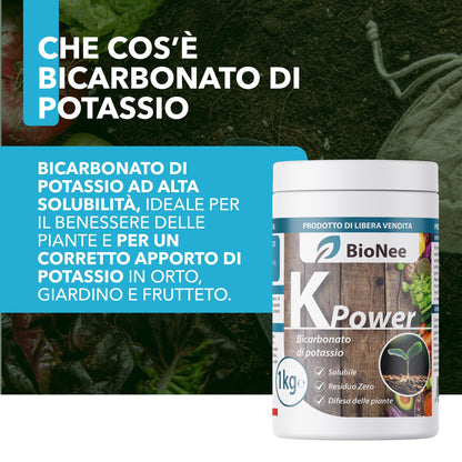 Bicarbonate de Potassium Pur - Engrais Antifongique pour Plantes, Potager et Arbres Fruitiers, Favorise la Croissance et la Santé Végétale - 1 kg - FBA