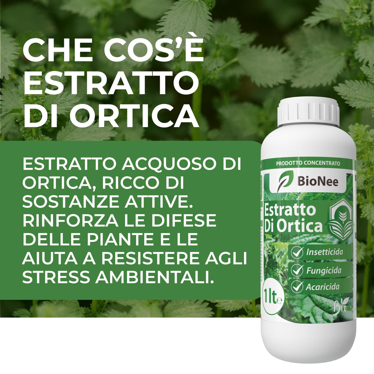 Estratto di Ortica Concentrato 1L – Insetticida Naturale, Fungicida e Acaricida – Uso Biologico – Idrosolubile, per Orto, Frutteto e Piante da Giardino