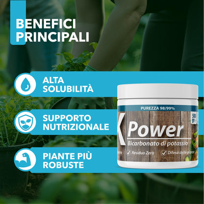 Bicarbonato di Potassio Bio per Agricoltura Naturale e Piante – KPower 500 gr | Contro Oidio, Muffa Grigia, Peronospora, Monilia, Ticchiolatura, Bolla del Pesco, Marciume