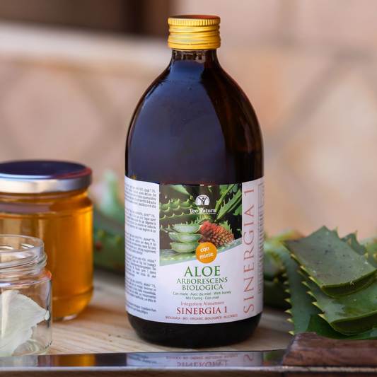 Aloe Arborescens Padre Zago | SINERGIA 1 | 500ml - Original Organic Recipe