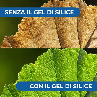 Gel di Silice per agricoltura x 1 KG - Polvere di roccia, Potenziatore delle difese naturali Effetto Insetticida e Fungicida - Per Orto e Piante - BIO - fba