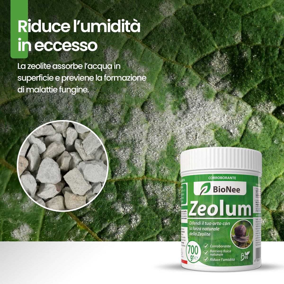 Zeolum – Barriera Naturale a Base di Zeolite per Orto e Giardino | Corroborante Antilumache per Uso Hobbistico | Polvere Asciutta o Nebulizzata | Agricoltura Biologica 700 gr