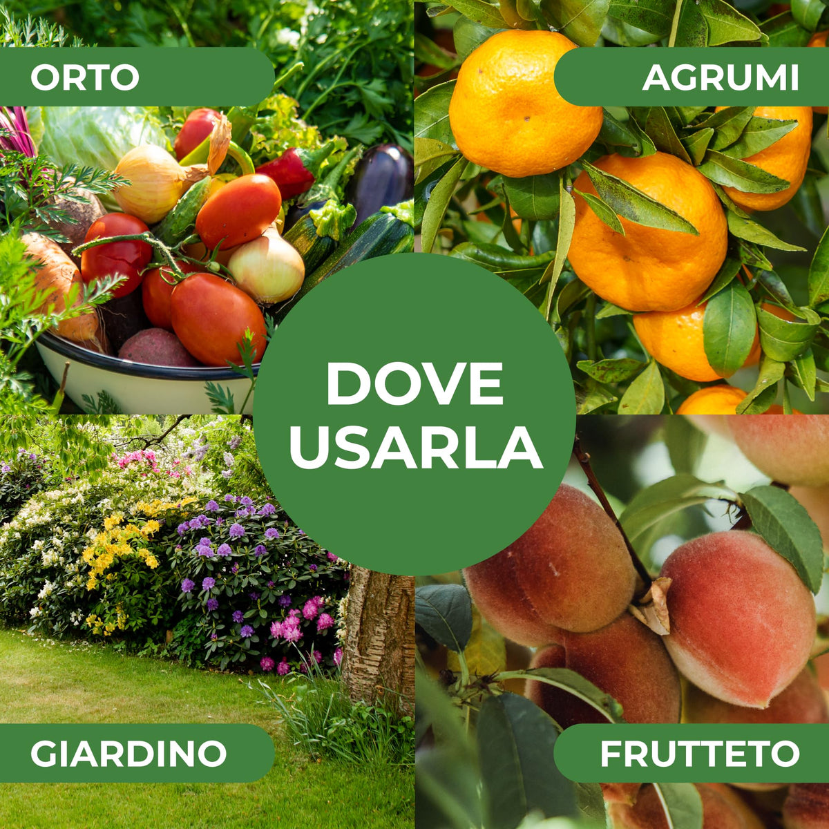 Estratto di Ortica Concentrato 1L – Insetticida Naturale, Fungicida e Acaricida – Uso Biologico – Idrosolubile, per Orto, Frutteto e Piante da Giardino
