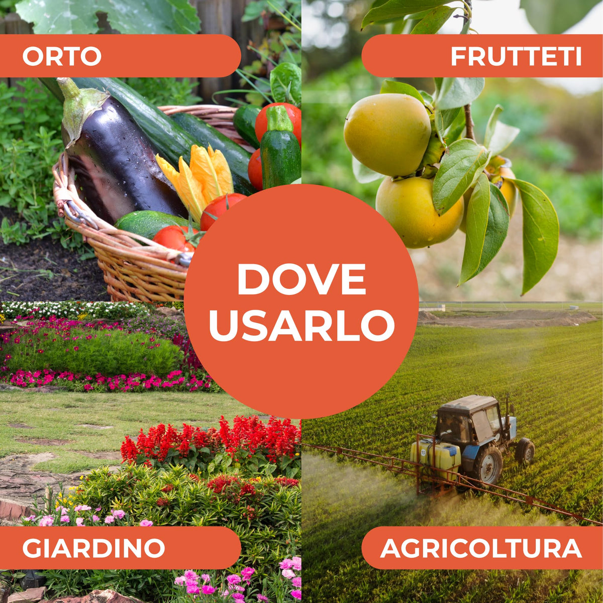 Bionee_Sapone molle di potassio POTENZIATORE DIFESE NATURALI DELLE PIANTE - 1 lt