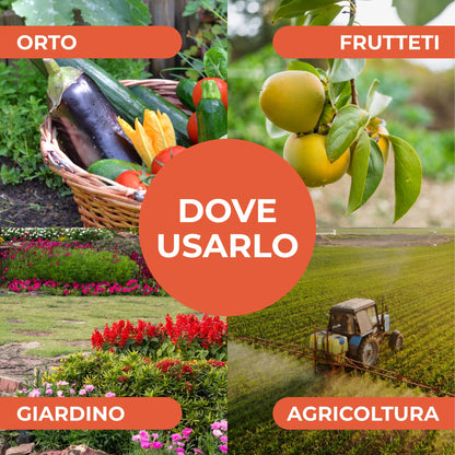Bionee_Sapone molle di potassio POTENZIATORE DIFESE NATURALI DELLE PIANTE - 1 lt