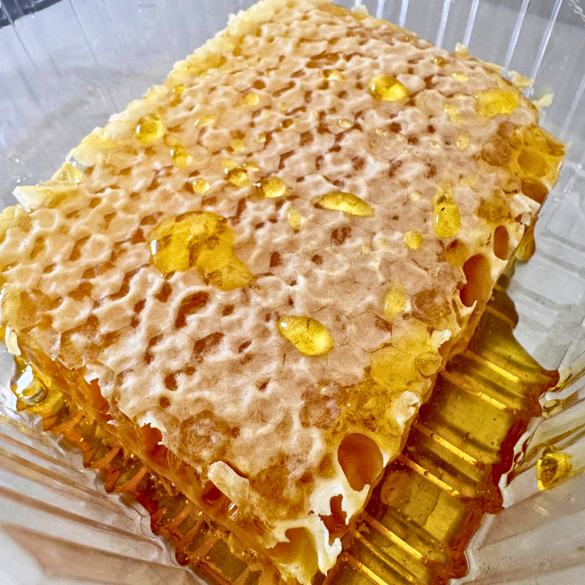 Bio-Millefiori-Honig im Wabenstück (200g)