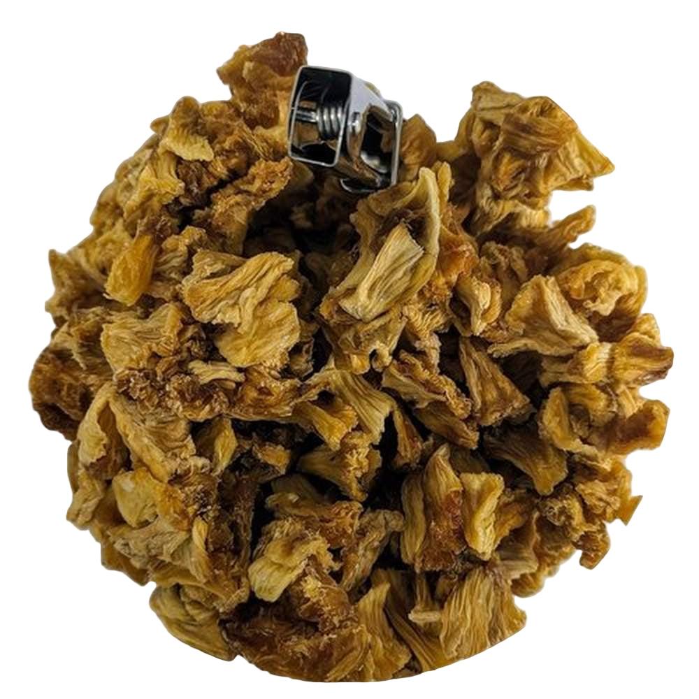 Ananas Disidratato al Naturale