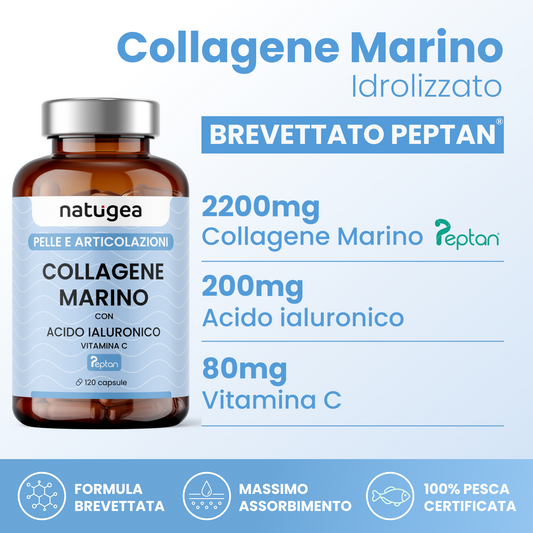 Collagène marin hydrolysé Peptan F HD