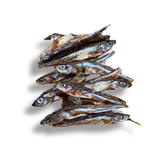 Fishy Snack: latterini secos para perros y gatos