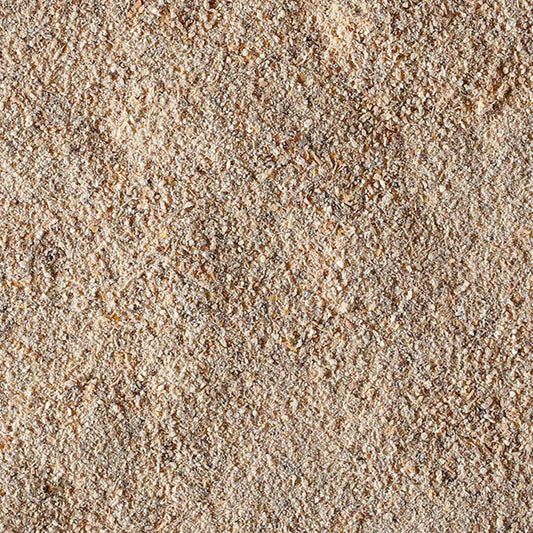 100% Fungo Lion's Mane in polvere BIO - 100g