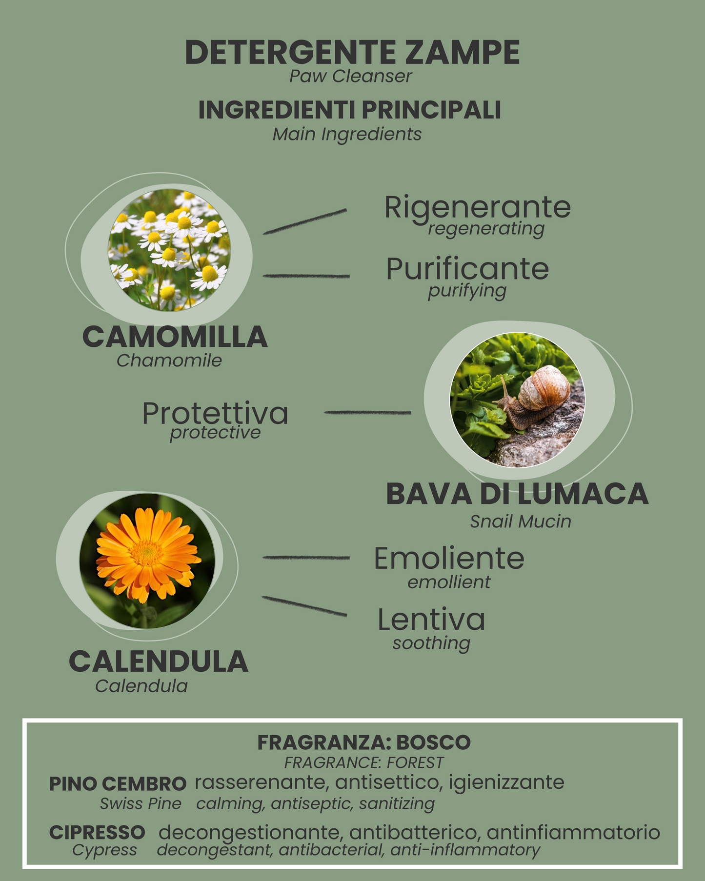 Detergente para patas y pelo