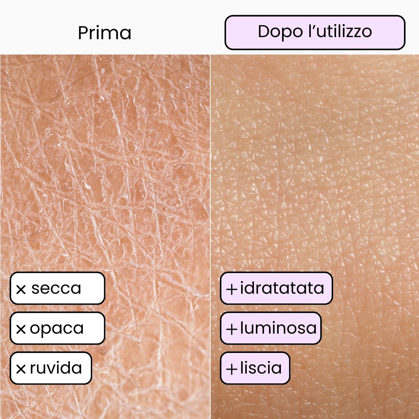 Gel douche rafraîchissant - Chêne, mauve et myrtille