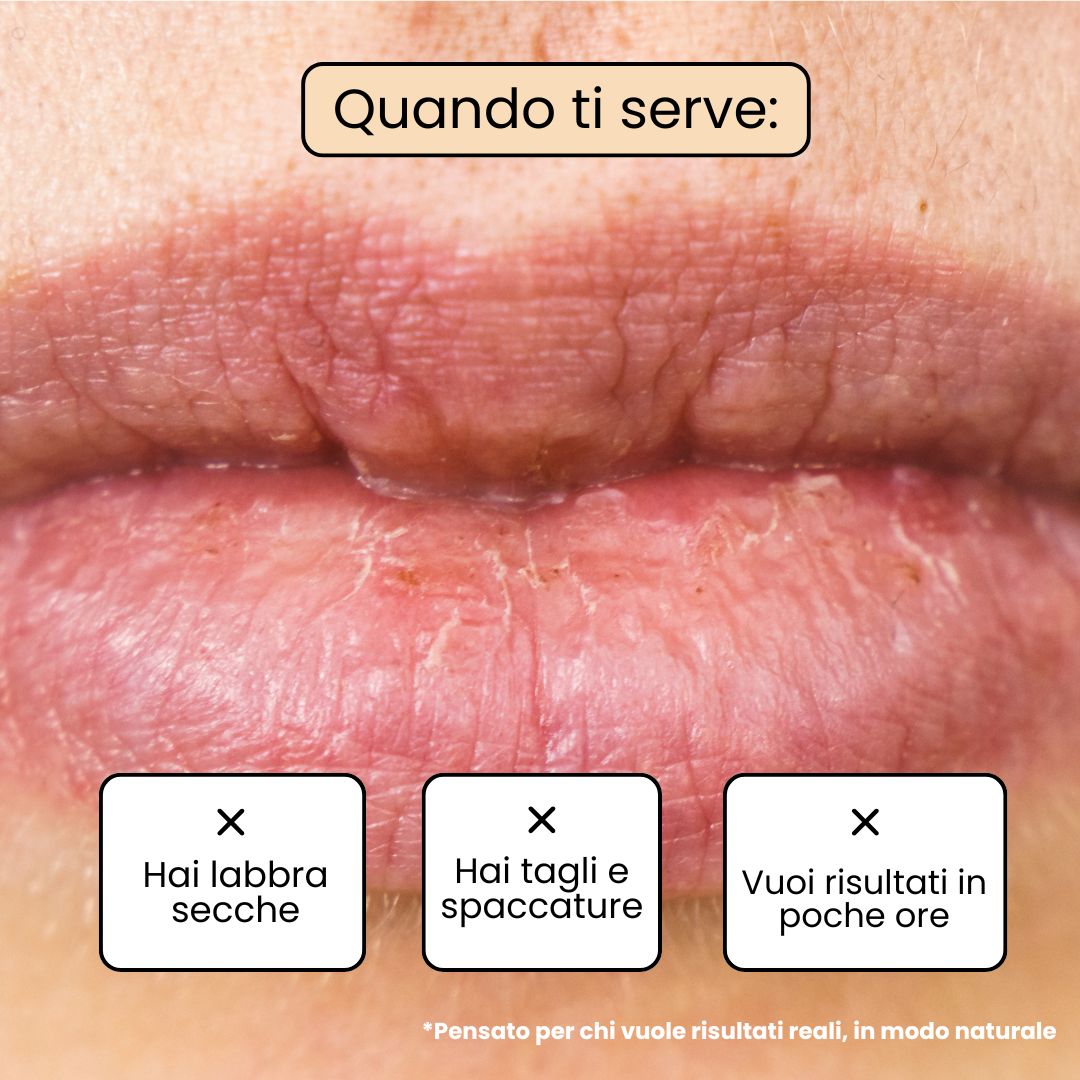 VANILLA Lip Balm - Vanilla