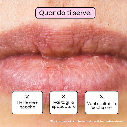 Lippenbalsam BERRY - Brombeere und Heidelbeere