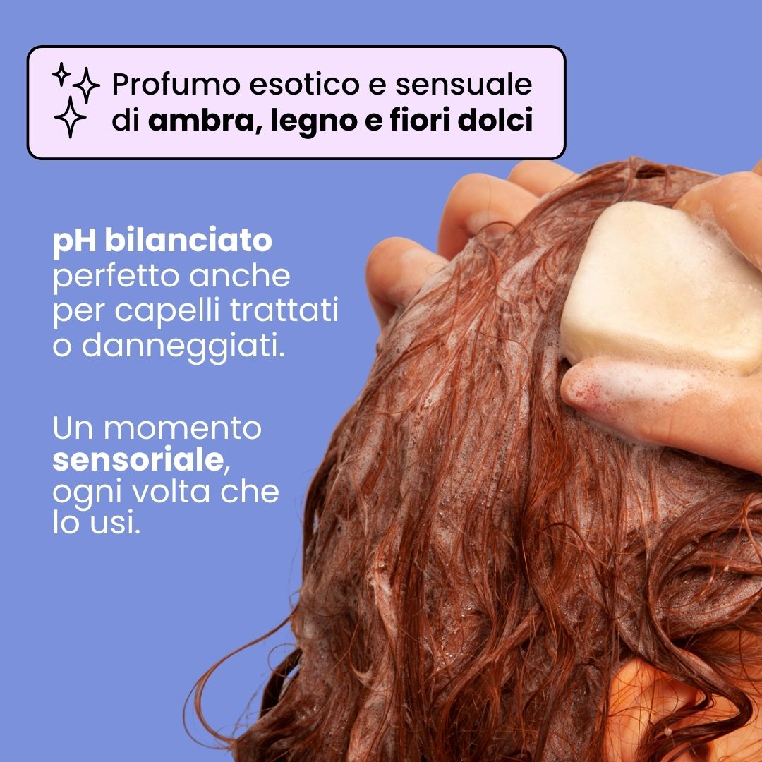 Festes Anti-Frizz-Shampoo für trockene oder lockige Haare x2