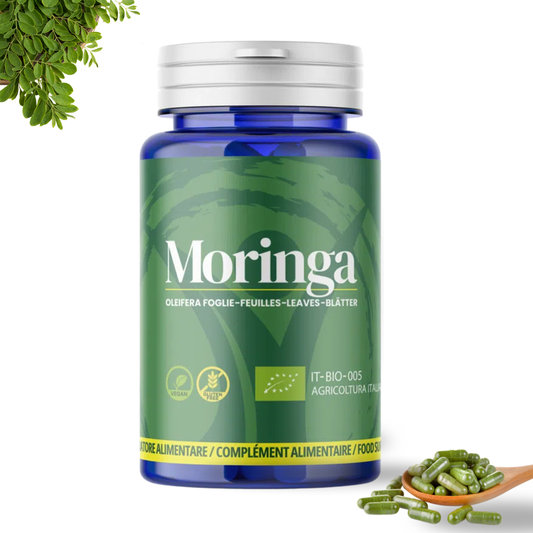 Moringa Oleifera Bio en Cápsulas | 50 Cápsulas