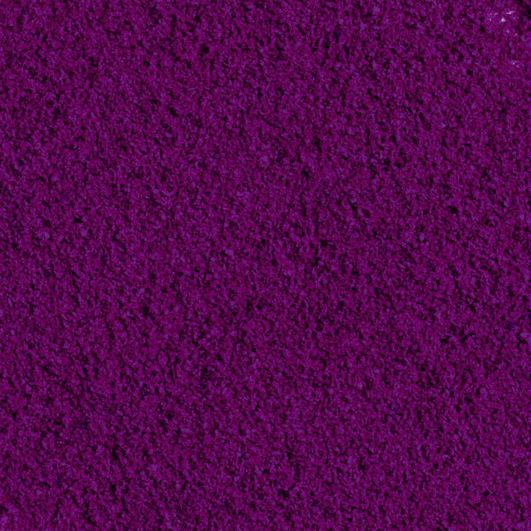 100% Ribes Nero liofilizzato in polvere BIO - 100g