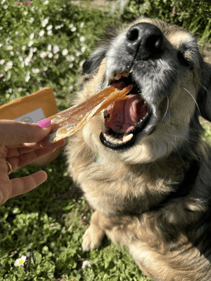 Fishy Snack: filetes de bacalao para perros y gatos